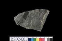 藏品(變質砂岩)的圖片